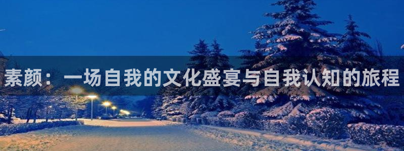 天美娱乐4开户：素颜：一场自我的文化盛宴与自我认知的旅程