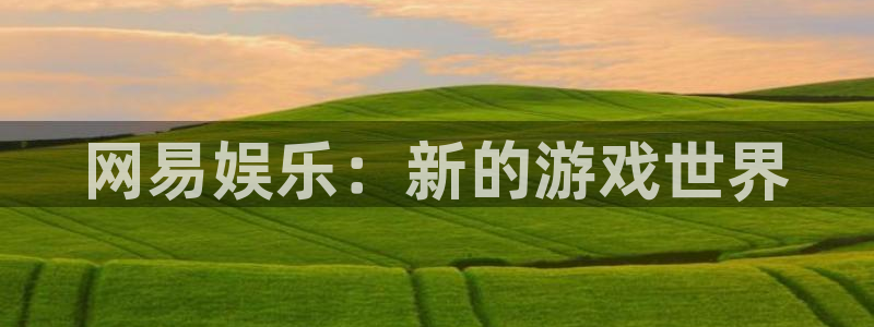 天美娱乐线路测试：网易娱乐：新的游戏世界