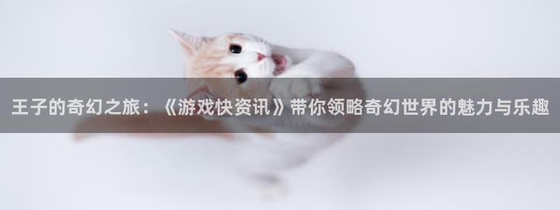 天美娱乐注册登录平台：王子的奇幻之旅：《游戏快资讯》带你领略