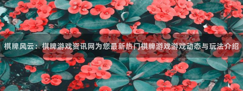 天美娱乐平台负责人：棋牌风云：棋牌游戏资讯网为您最新热门棋牌