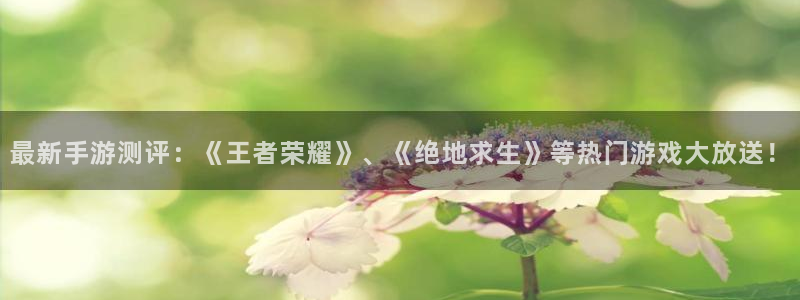 天美娱乐代理登陆：最新手游测评：《王者荣耀》、《绝地求生》等