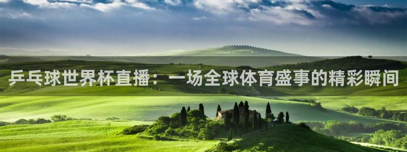88看球直播官网：乒乓球世界杯直播：一场全球体育盛事的精彩瞬间