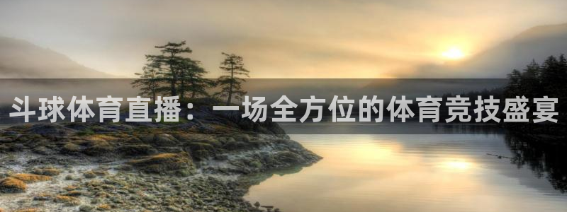 88看球nba直播免费：斗球体育直播：一场全方位的体育竞技盛宴