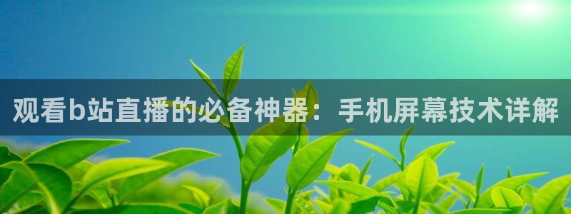 88看球直播官网：观看b站直播的必备神器：手机屏幕技术详解