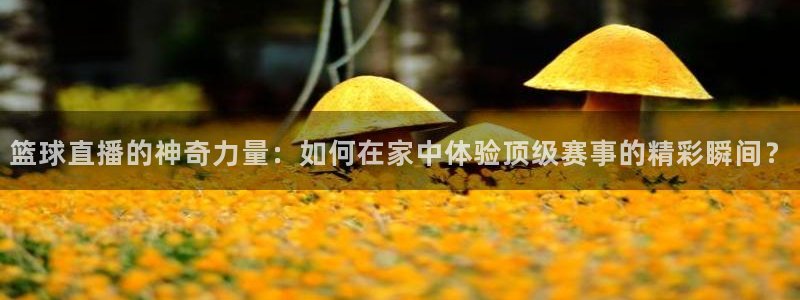 88看球吧直播：篮球直播的神奇力量：如何在家中体验顶级赛事的精彩瞬间？