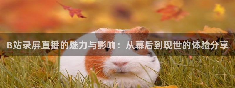 88看球nba免费直播官网：B站录屏直播的魅力与影响：从幕后到现世的体验分享