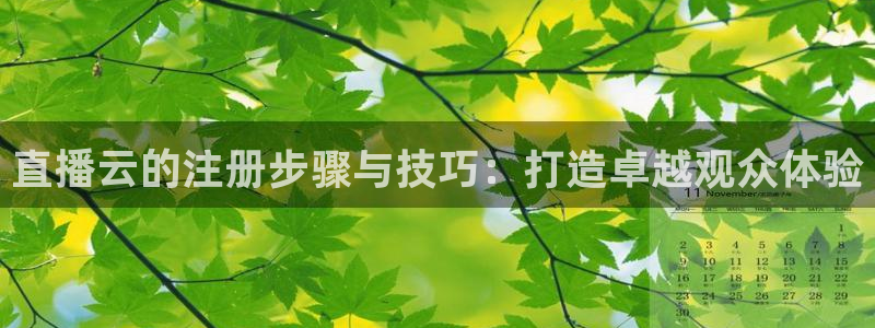 88看球直播nba：直播云的注册步骤与技巧：打造卓越观众体验