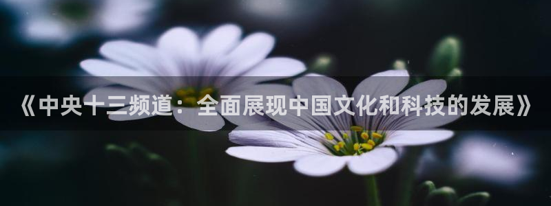 88看球体育直播：《中央十三频道：全面展现中国文化和科技的发展》