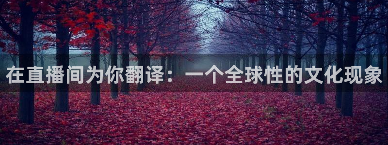 88看球nba直播免费：在直播间为你翻译：一个全球性的文化现象