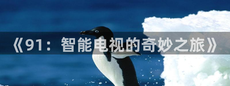 88看球直播吧：《91：智能电视的奇妙之旅》