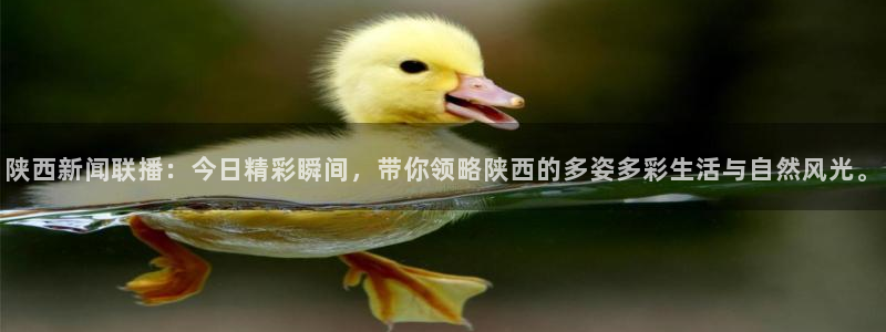 88看球nba直播在线观看：陕西新闻联播：今日精彩瞬间，带你领略陕西的多姿多彩生活与自然风光。