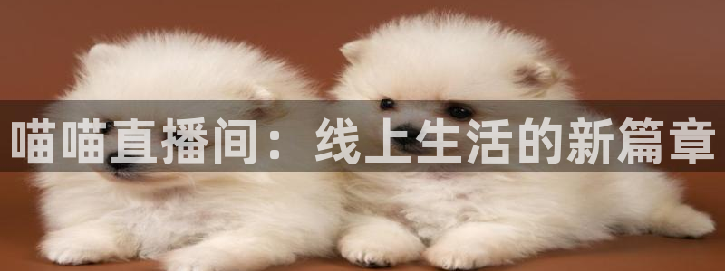 88看球直播高清：喵喵直播间：线上生活的新篇章