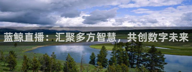 88看球免费直播回放：蓝鲸直播：汇聚多方智慧，共创数字未来